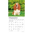 thumbnail image 4 of Basset Hounds | 2027 7x14" (Hanging) Wall Calendar, 4 of 9