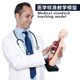 thumbnail image 5 of 11 Inch Human Body Model for Kids,Human Torso Anatomy Model Toys,8 Pcs Removable Anatomy Doll with, 5 of 5