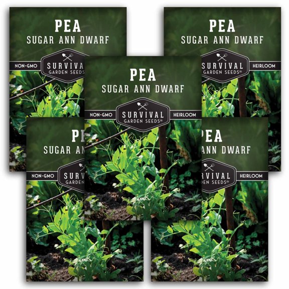 5 Packs Sugar Ann Dwarf Pea Seeds for Planting - Sweet Snap Peas - Non-GMO Heirloom Annual Full Sun