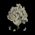 thumbnail image 2 of Vision Studio 20x20 Gold Ornate Wood Framed with Double Matting Museum Art Print Titled - Black and Tan Coral IV, 2 of 4