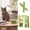 White, variant on Cat Treats Fish Oil & Cat Grass Chew Sticks 12Pcs 60G Pack, Natural Dental Care & Hairball Control For Cats, Interactive Chew Toys For Cats