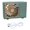 Green, variant on Small USB Fan with Wind Levels Portable for Room Home Offices Easy Operate