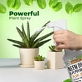 thumbnail image 2 of Neem Oil & Peppermint Plant Nutrient Spray – Natural Leaf Shine for Indoor & Outdoor Use – Plant-Based Formula for Stronger, Healthy Plants - 16 oz (Pack of 2), 2 of 7