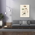 thumbnail image 4 of Epic Graffiti 'Agaricus Semiglobatus'  by Art Licensing Studio Canvas Wall Art, 40" x 54", 4 of 8