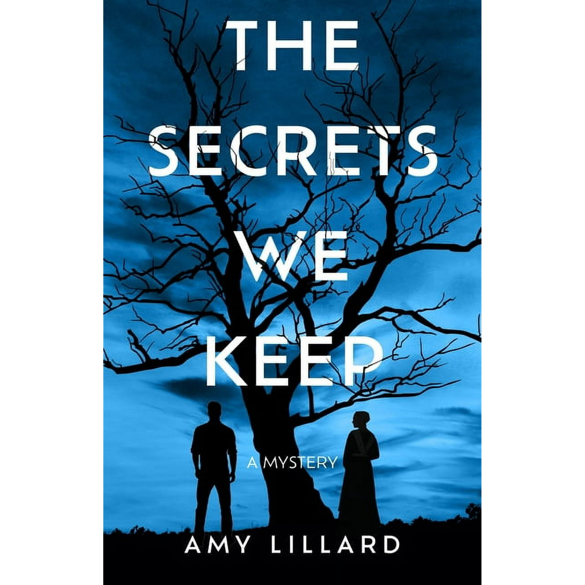 The Secrets We Keep: A Mystery (Paperback)