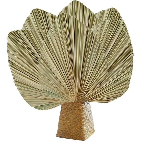 Dried Palm Leaves Boho Decor : 6 PCS Natural Palm Leaves Spears,Dried Palm Leaves with Long Stem,Palm Leaves Decor for Party,Wedding,Home Office Use