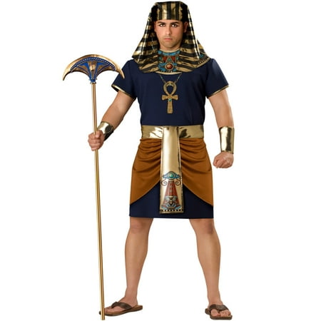 Egyptian Man Plus Size Men's Adult Halloween Costume