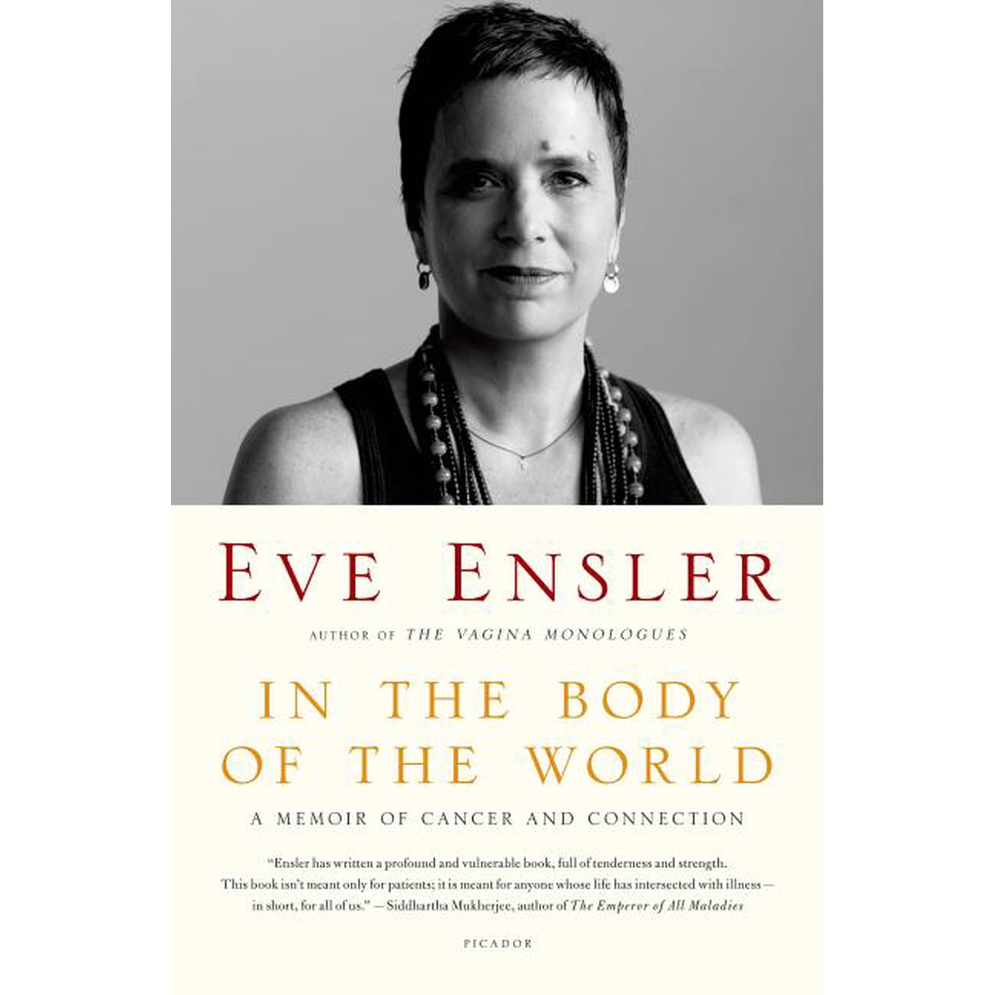 In the Body of the World : A Memoir of Cancer and Connection (Paperback)