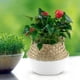 thumbnail image 2 of Organizador de armario plegable y cesto para macetas con diseño de algas marinas florales, color blanco natural, 2 of 8