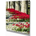 thumbnail image 2 of Fleurs de Tulipe Sauvage dans la Forêt - Impression sur Toile Florale, 2 of 3