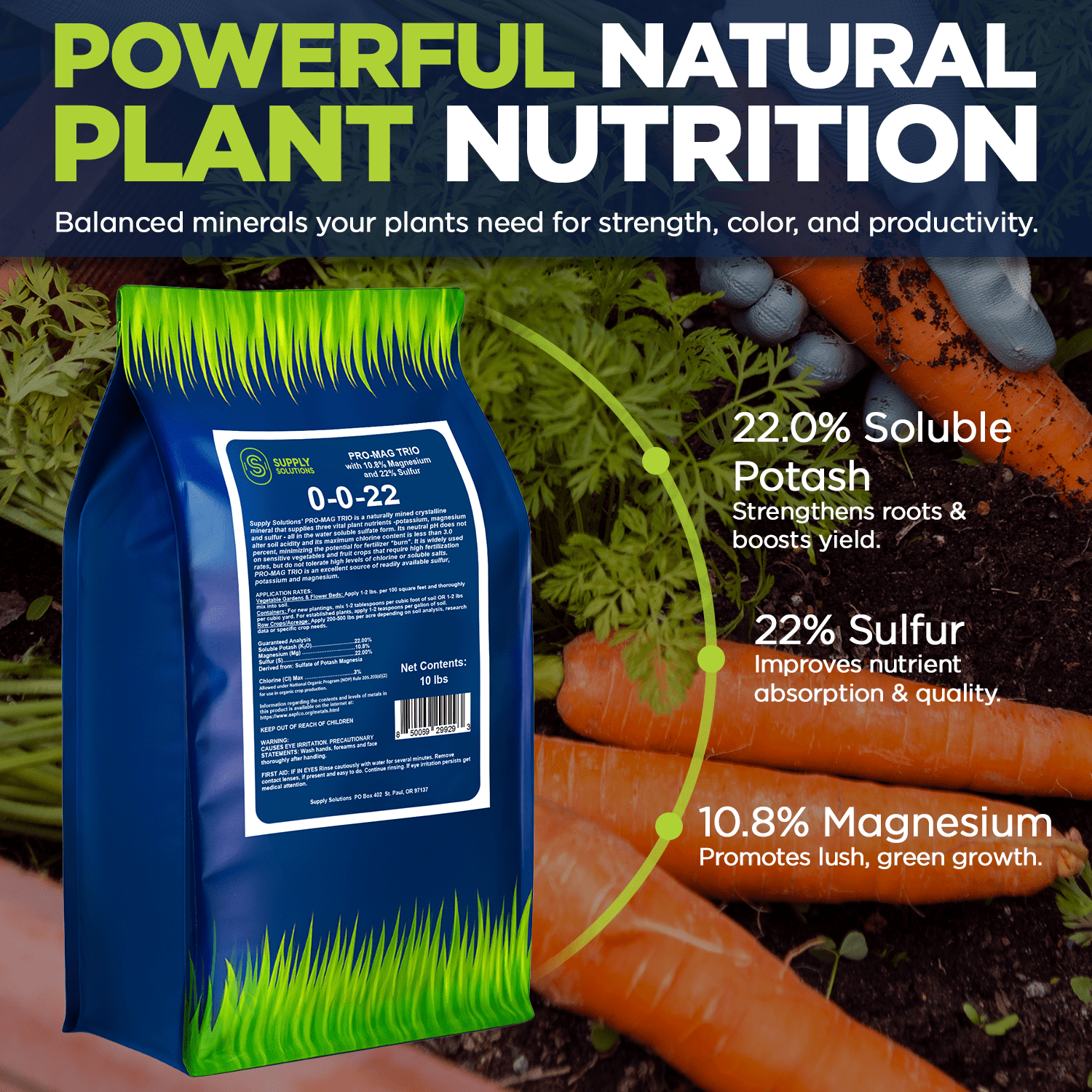 Supply Solutions | 0-0-22 Pro-Mag Trio - High Potassium, Magnesium & Sulfur Fertilizer for Lawns, Turf, Palm & Fruit Trees - Water-Soluble Plant Food for Stronger Growth & Higher Yields - 10lbs