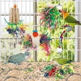 thumbnail image 3 of ZeenArt Bird Parakeet Toys, Bird Loofah Toys Foraging Hanging Toy for Cockatiel Conure African Finches, 3 of 7
