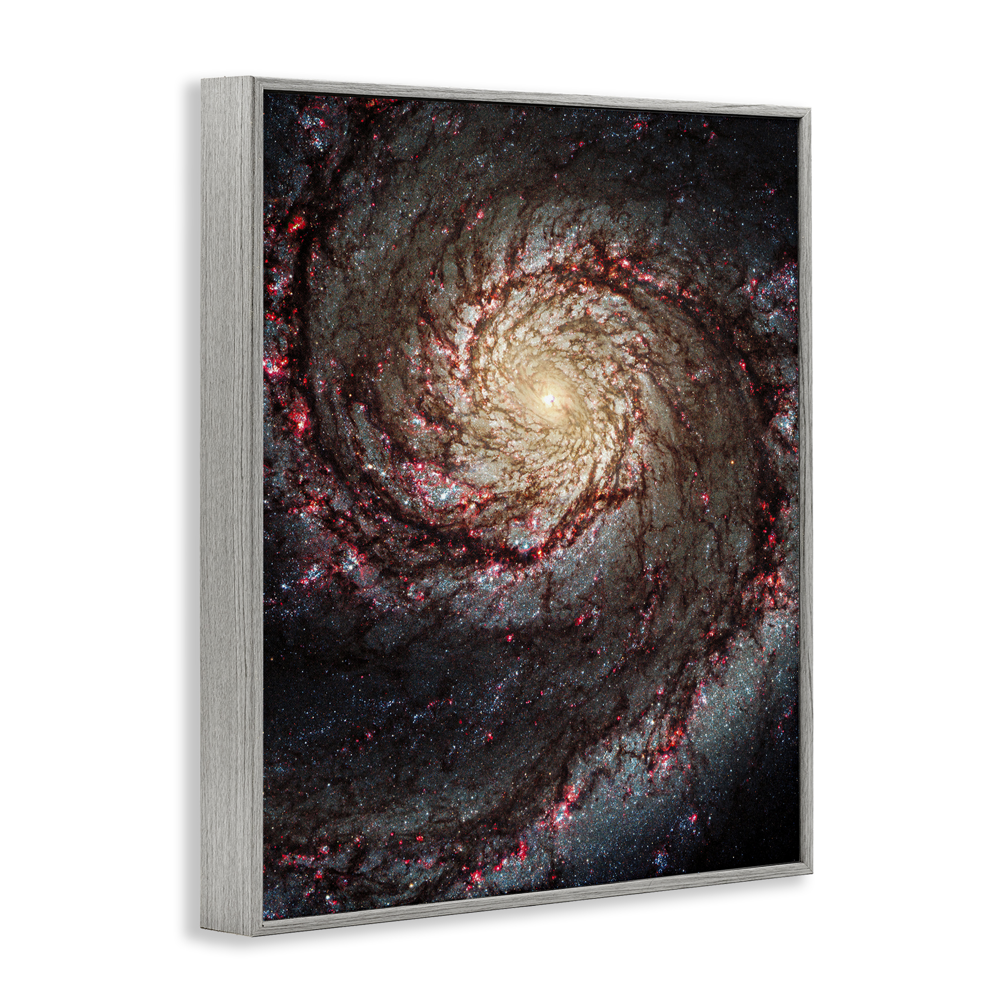 Stupell Industries Great Beyond Nebula Animals & Insects Photography Gray Framed Art Print Wall Art, 11 x 14