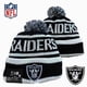 thumbnail image 1 of Nfl Oakland Raiders Gorro Unisex gorras de invierno sombreros mantener caliente de punto sombrero bordado Top deporte gorra, 1 of 4