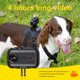 thumbnail image 3 of Cámara inalámbrica HD 2K, aplicación WiFi, recargable, para perros, gatos, mascotas, cámara deportiva, Collar, cámara, registros de vídeo para gatos, perros, regalo de cumpleaños, 3 of 4