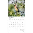 thumbnail image 3 of Songbirds | 2026 12x24" (Hanging) Square Wall Calendar | Plastic-Free, 3 of 9