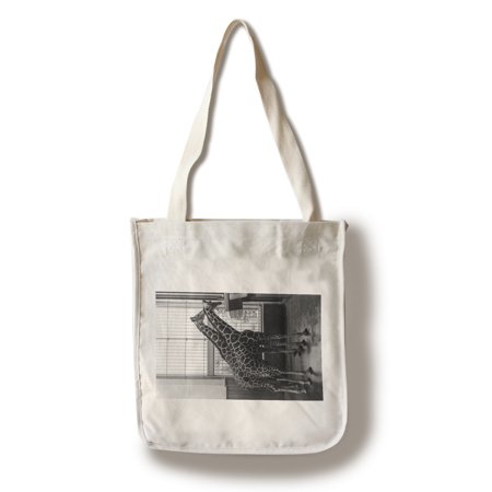 Seattle, Washington - Woodland Park Zoo Giraffes Having Lunch (100% Cotton Tote Bag - (Best Box Lunches In Seattle)