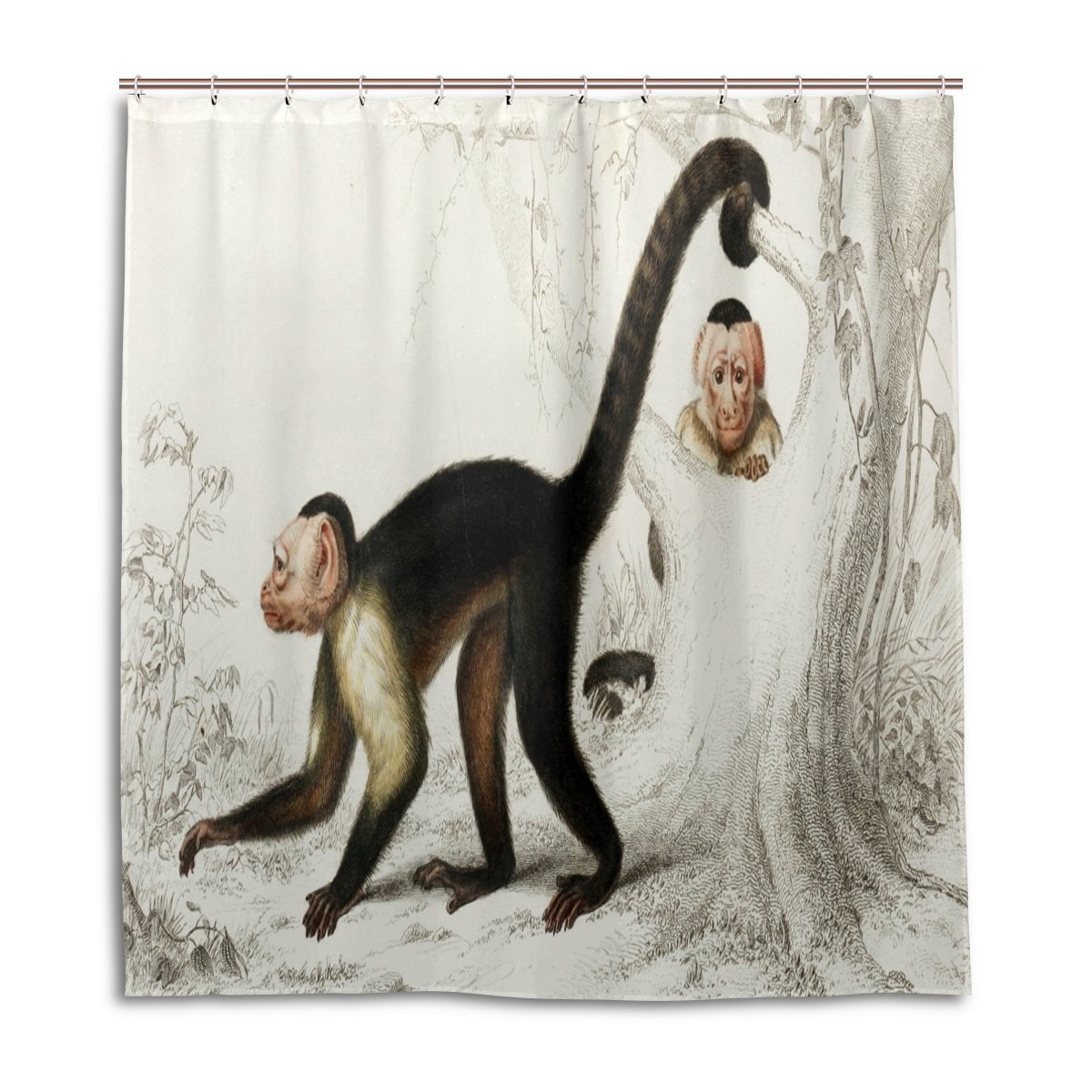 POPCreation Spider Monkey Shower Curtain Waterproof Bathroom Shower Curtain 48x72 inches