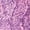 Delicate Pink Ultra Blue Marled, variant on Woman Within Plus Size Marled Zip-Front Cable Knit Cardigan Sweater