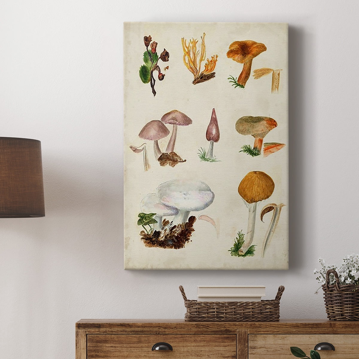 Mushroom Species VI Premium Gallery Wrapped Canvas - Ready to Hang