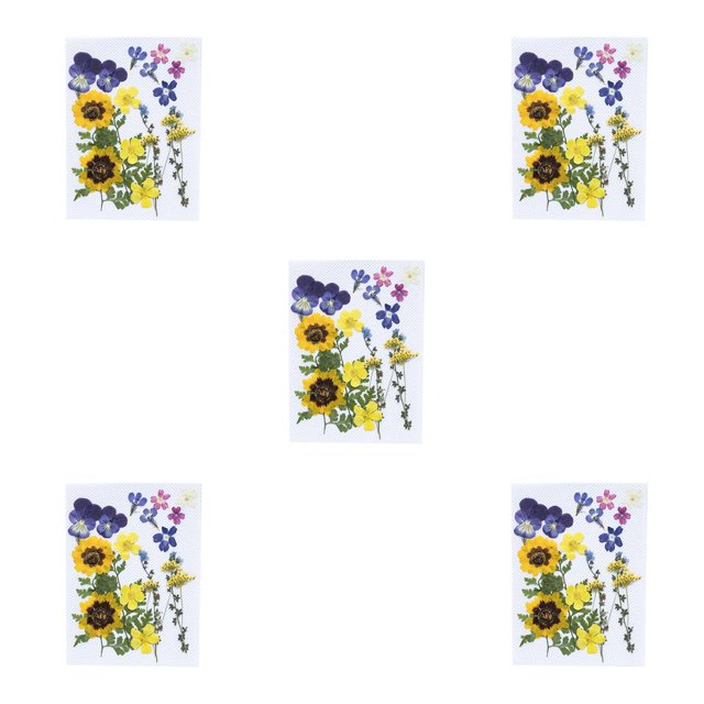 Matsuzay Flores secas naturales Artesanías hechas a mano Ramos en relieve Flores prensadas Hermoso adorno Presente para tarjetas de boda Type2 NO2