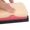 thumbnail image 3 of Simulation Human Skin Incision Suture Training Model Injection Practice Pad Module, 3 of 8