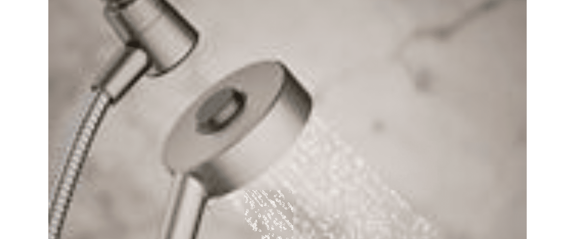 KOHLER ASSERT MULTI-FUNCTION HANDHELD SHOWER HEAD