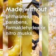 thumbnail image 2 of Glade Plugins® Air Freshener Oil Refill, Sparkling Sugared Pear™, 2 of 9