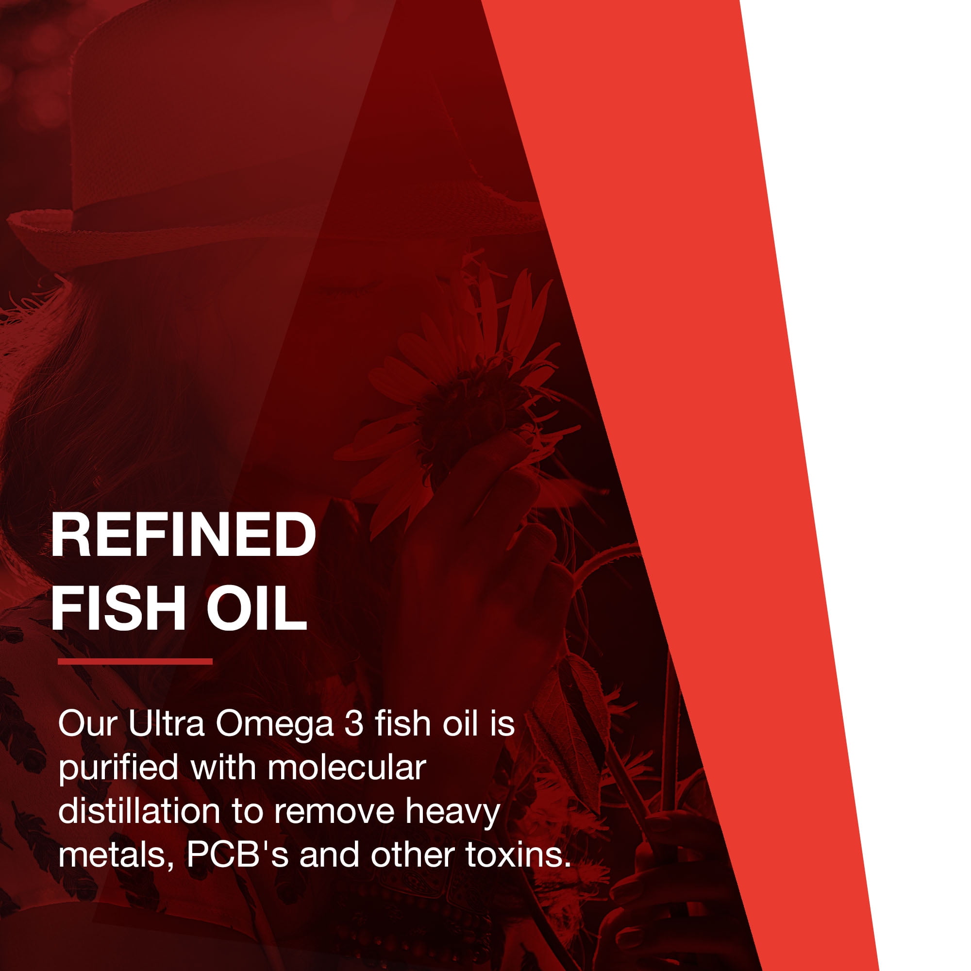 Protocol Ultra Omega-3 Fish Oil DHA 500, EPA 250 - Brain Support - 90 Softgels