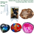 thumbnail image 2 of 36 Pack Thickened Card Display Stand Sports Card Holder Small Easel Stand for Challenge Coin Graded Card Sports Card Trading Card PSA Card Baseball Card, 2.3 Inch Tall Clear, 2 of 5