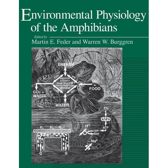 Environmental Physiology of the Amphibians (Paperback)