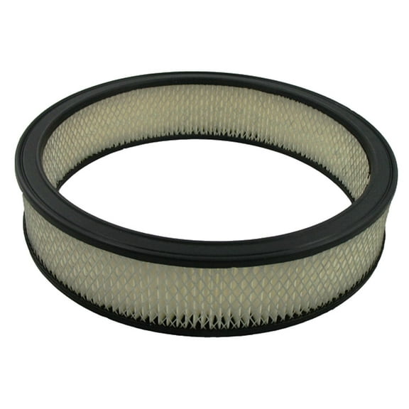 Pentius PAB324A Pentius Filter Fits select: 1968-1971 FORD MUSTANG, 1984-1987 FORD F150