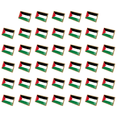 thumbnail image 1 of Insignias La Nacional Palestina Insignia Esmaltada Cristal Traje Recuerdo (25x15mm), 1 of 2
