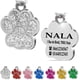 thumbnail image 3 of Medallón de identificación personalizado con etiqueta de pata de acero para collar de perro gato mascotas grabado verde, 3 of 4