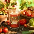 thumbnail image 3 of Yankee Candle Into The Garden Collection - Sun Gold Tomato - Tangy Lime & Tomato Vine - Large Signature Tumbler Candle, 3 of 3
