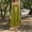 Army Green, variant on Women Solid Cami Backless Loose Midi Dress Home Wear