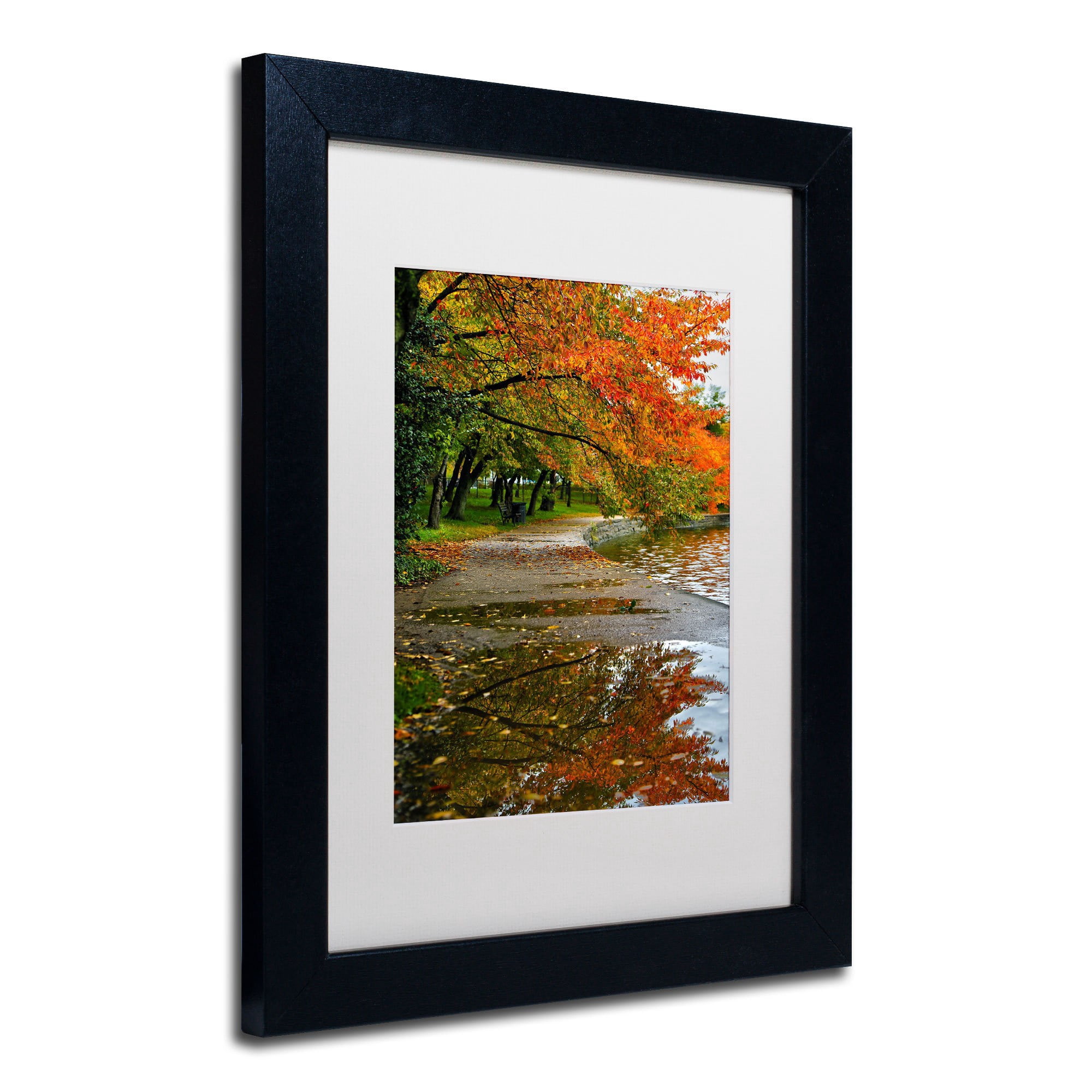 Trademark Fine Art "Tidal Basin Autumn 1" Canvas Art by CATeyes, White Matte, Black Frame