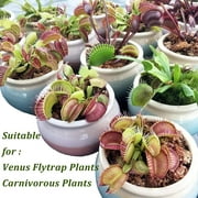 Sphagnum Moss for Plant Long Fiber Dried Forest Moss for Orchid Moss Potting Mix Natural Plant Moss for Carnivorous Plants Succulent Reptile (2.6 ounce)