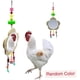 thumbnail image 2 of Juguete de Pollo, Pollo de Madera, Juguete de Espejo de Pollo, Juguete de Pollo de Madera, Juguete de Espejo, Gallos, Gallinero, Juguete con Campana para Pollos, 2 of 5