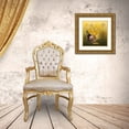thumbnail image 3 of Simongulashvili, Natalia 20x20 Gold Ornate Wood Framed with Double Matting Museum Art Print Titled - Dandelions, 3 of 4