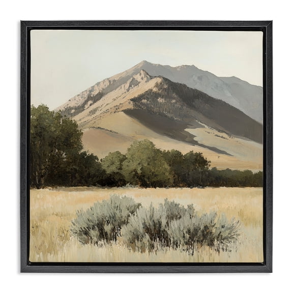 Stupell Industries Rustic Lodge Mountain Ridgeline Landscape Black Floating Frame Canvas Art, 18 x 18, by Petals Prints Design