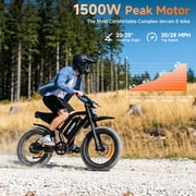 20 Fat Tire Electric Bike for Adults, 750W 1500W Peak Motor, 48V 17.5Ah Battery Ebike, E-Mountain Bike, UL2849