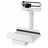 Detecto Pediatric Mechanical Baby Scale 20 KG Capacity