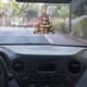 thumbnail image 5 of Xihbxyly Colgante para Árbol de Navidad, Adorno Acrílico Decorativo, Decoración Navideña Multifuncional, Ideal para Chimenea y para El Interior Del Coche, Regalo Perfecto para Familiares y Amigos, Fi, 5 of 6