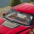 thumbnail image 4 of Binienty Funny Groundhog Car Visors Sun Shade for Car Windshield Car Interior Accessories Sun Protection UV-Blocking Easy Fold Heat Reflector-Keep Your Vehicle Cool, 4 of 8