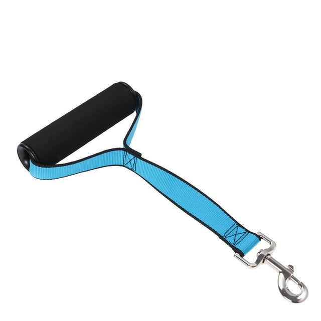 SKISUNO Dog Training Lead for Dogs Dog Leash Polyester Sky Blue 1Pcs for Pet Accessories