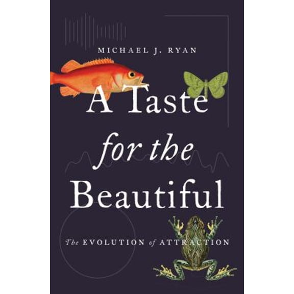 Pre-Owned A Taste for the Beautiful: The Evolution of Attraction (Hardcover) 0691167265 9780691167268