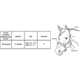 thumbnail image 3 of Grow With Me HorseHalter USA Leather, 3 of 3