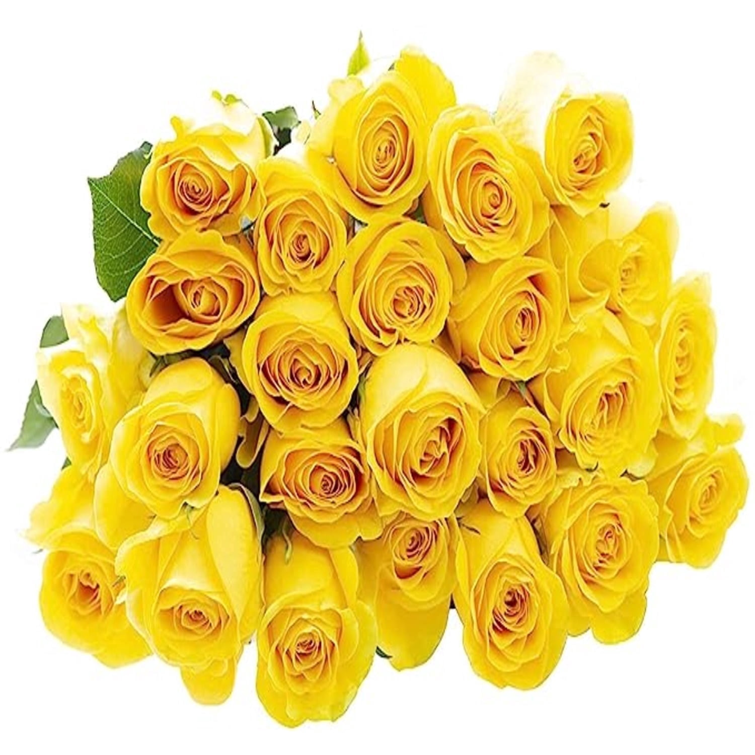 50 Stems of Roses: 25 Yellow and Pink- Beautiful Fresh Cut Flowers