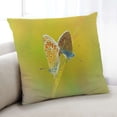 thumbnail image 1 of Ahgly Company Insects Butterfly Indoor Throw Pillow, 18 inch by 18 inch, 1 of 6